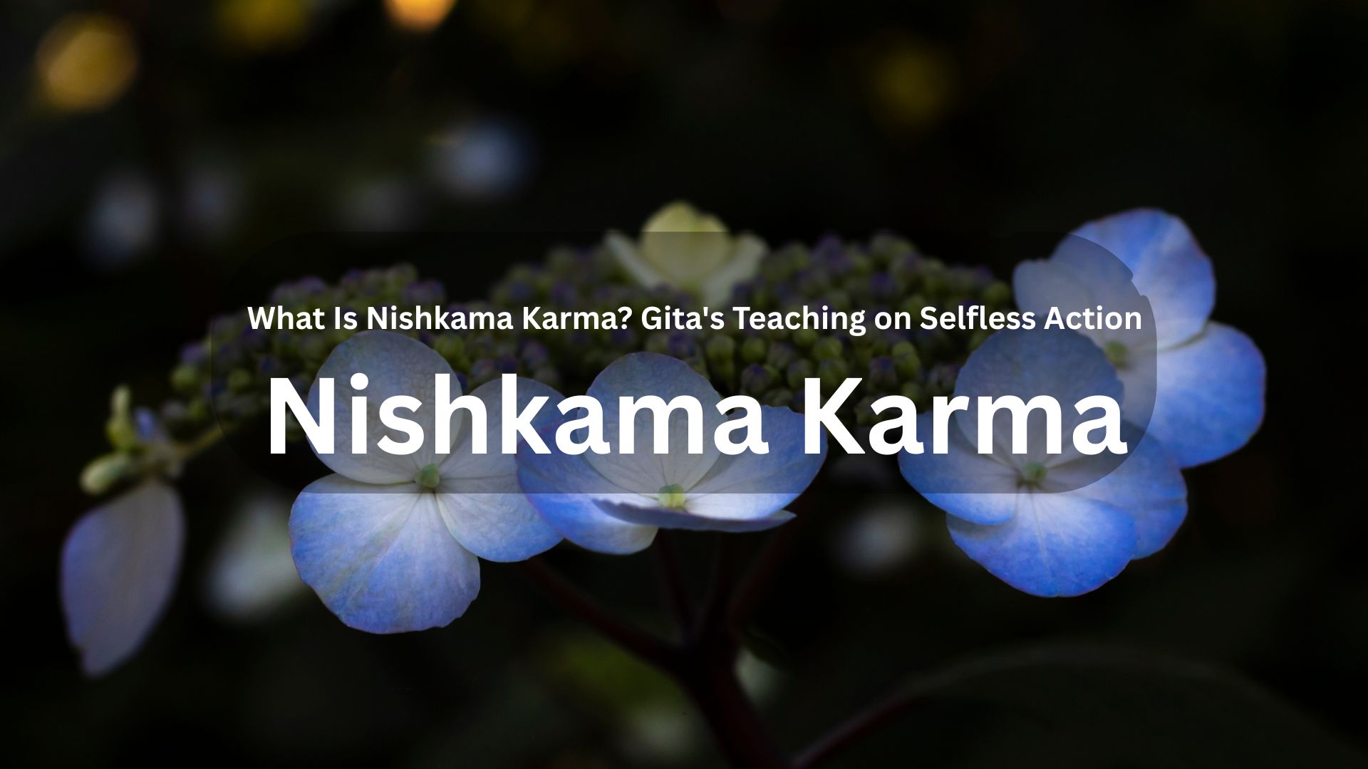 What Is Nishkama Karma? The Gita’s Teaching on Selfless Action